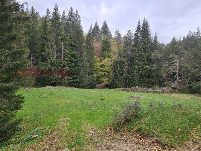 Property view 1