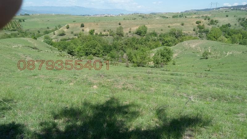 Property view 1