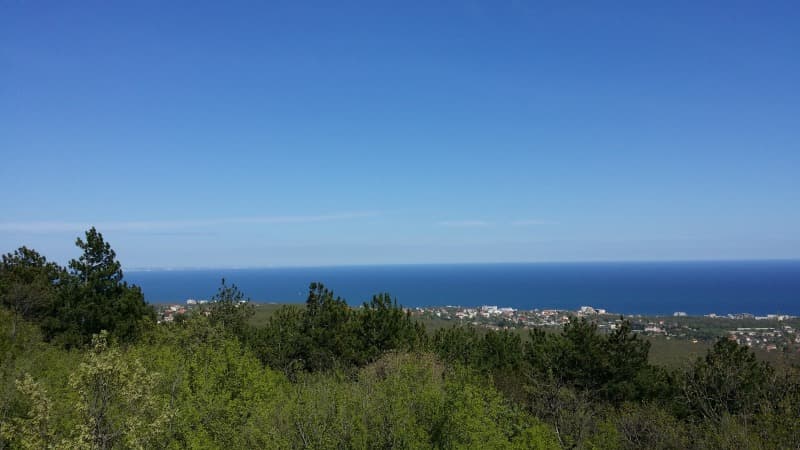 Property view 1