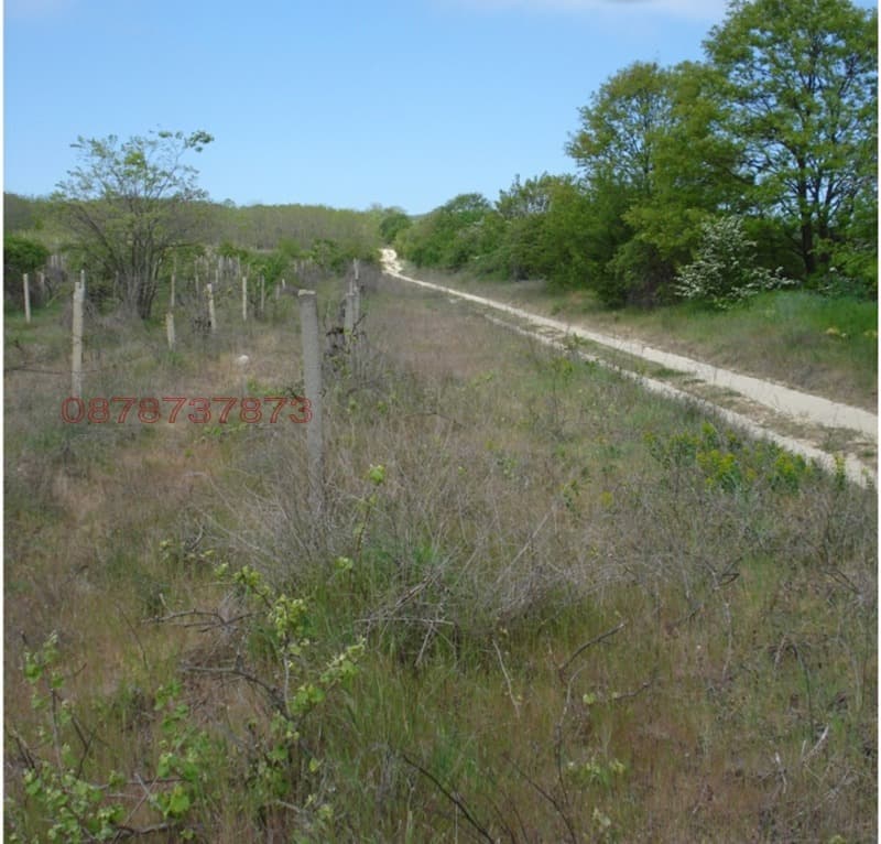 Property view 1