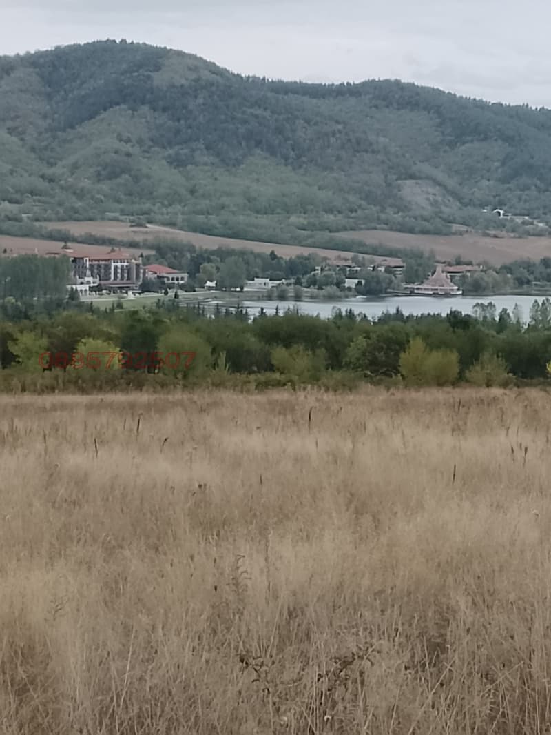 Property view 1