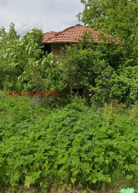 Property view 1