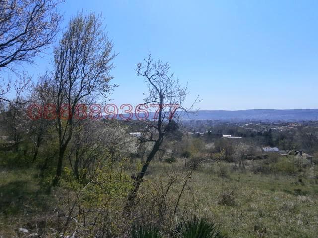 Property view 1