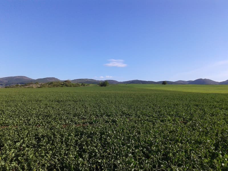 Property view 1