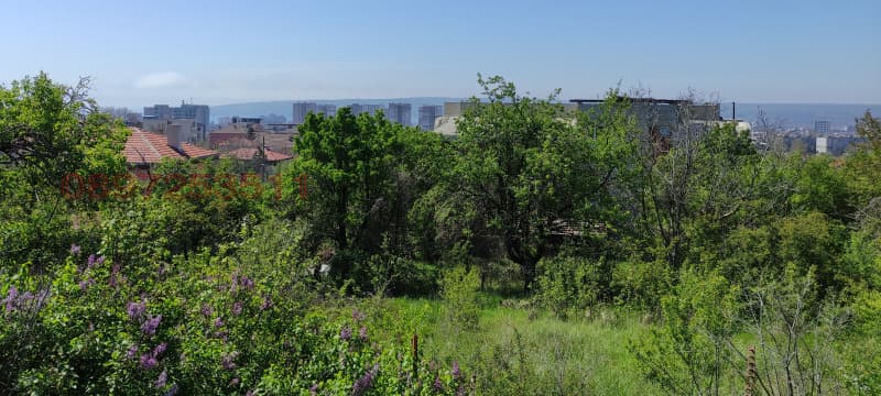 Property view 1