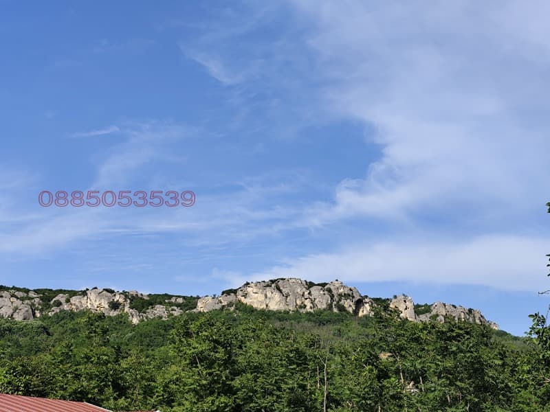 Property view 1