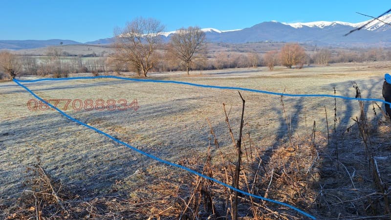 Property view 1
