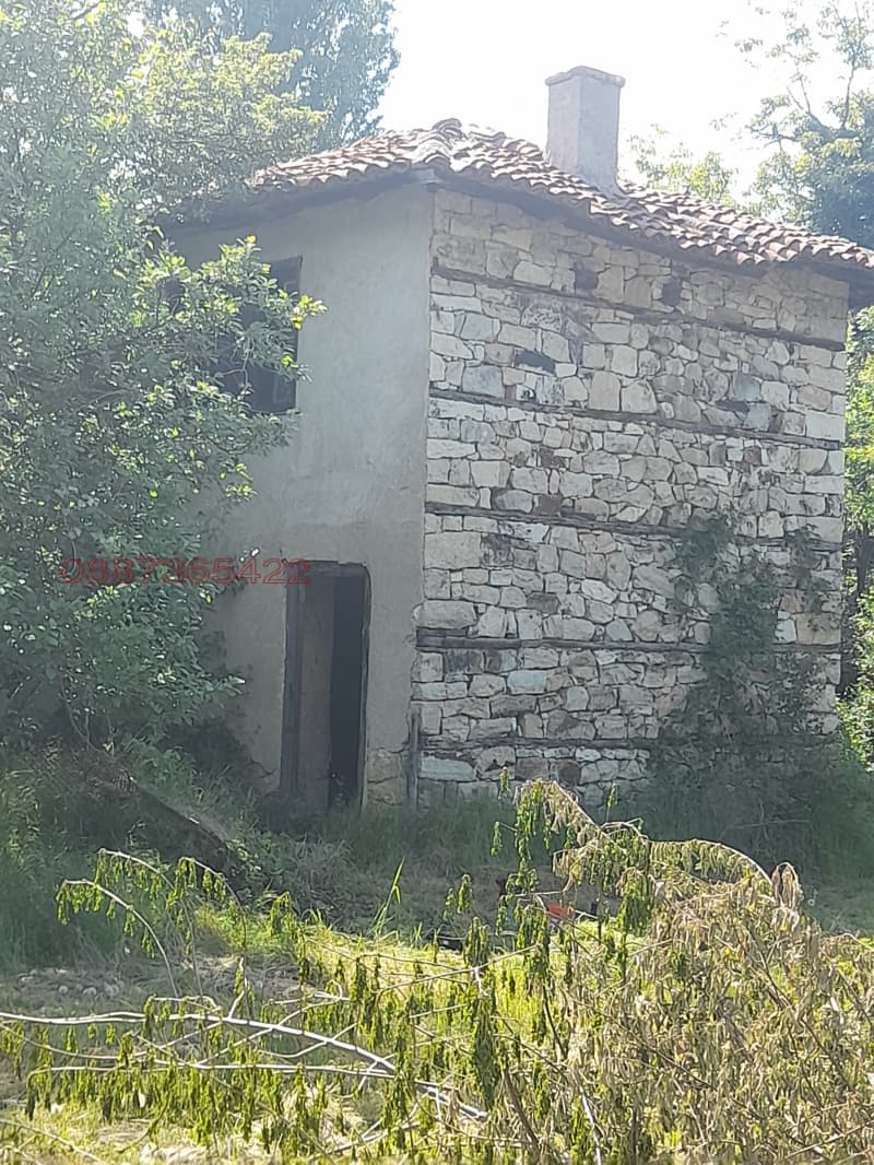 Property view 1