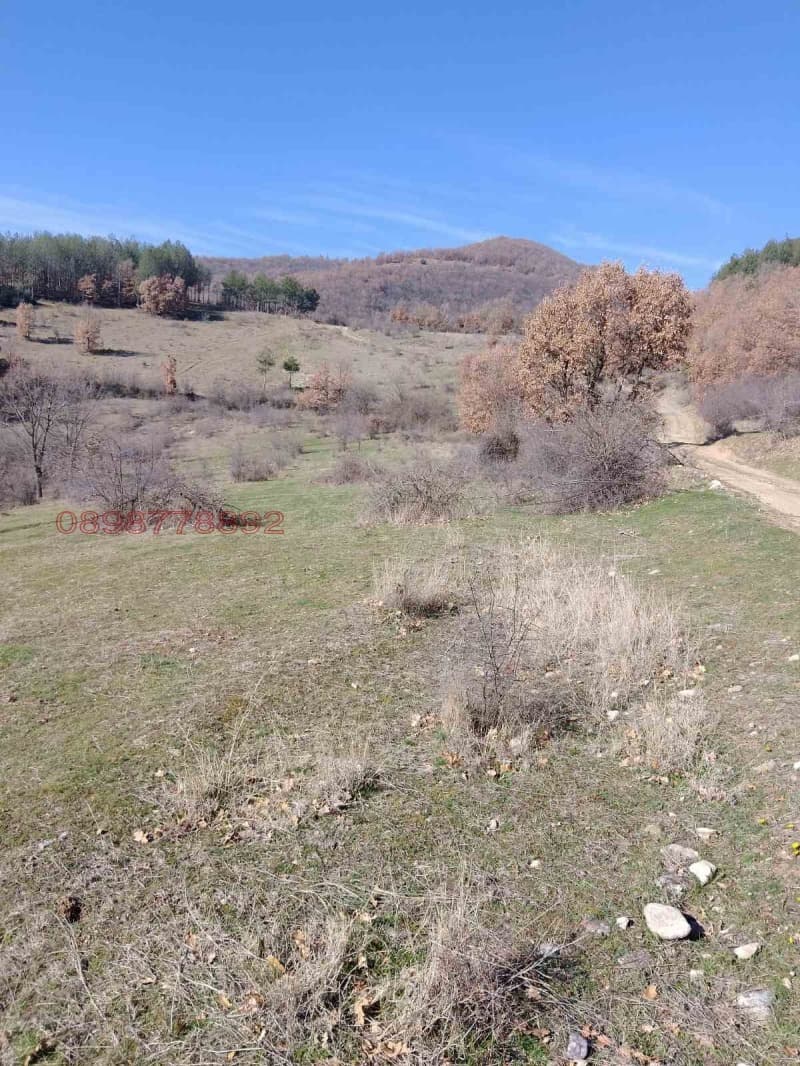 Property view 1