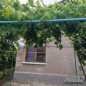 Property view 1